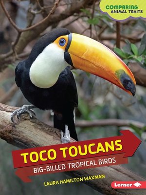 cover image of Toco Toucans